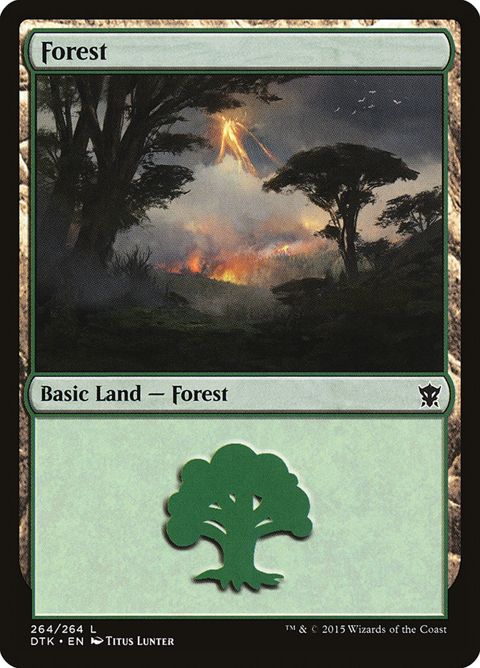 264-forest.jpg