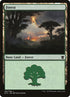 264-forest.jpg