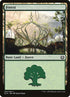 264-forest.jpg