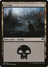 264-swamp.jpg