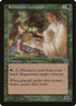 265-rushwoodherbalist.jpg