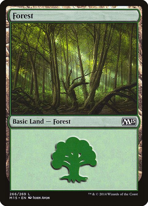 266-forest.jpg