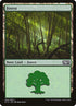 266-forest.jpg