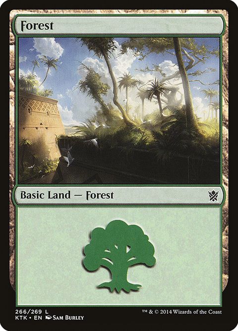 266-forest.jpg