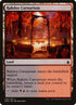 266-rakdoscarnarium.jpg
