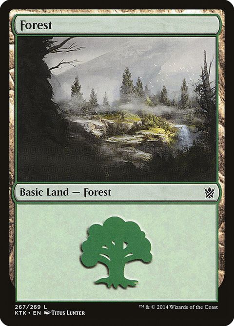 267-forest.jpg