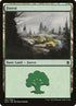 267-forest.jpg