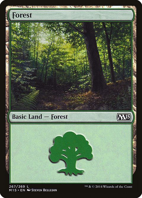 267-forest.jpg