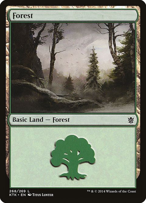268-forest.jpg
