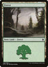 268-forest.jpg