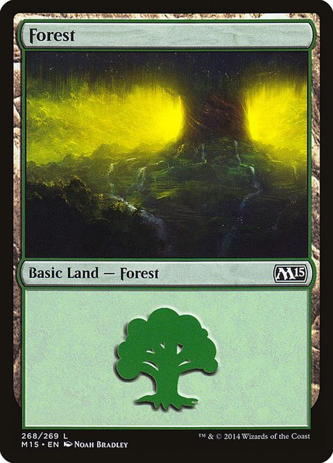 268-forest.jpg