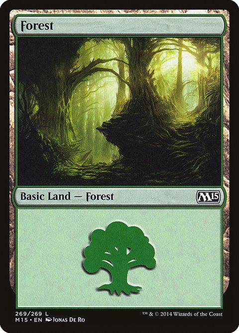 269-forest.jpg