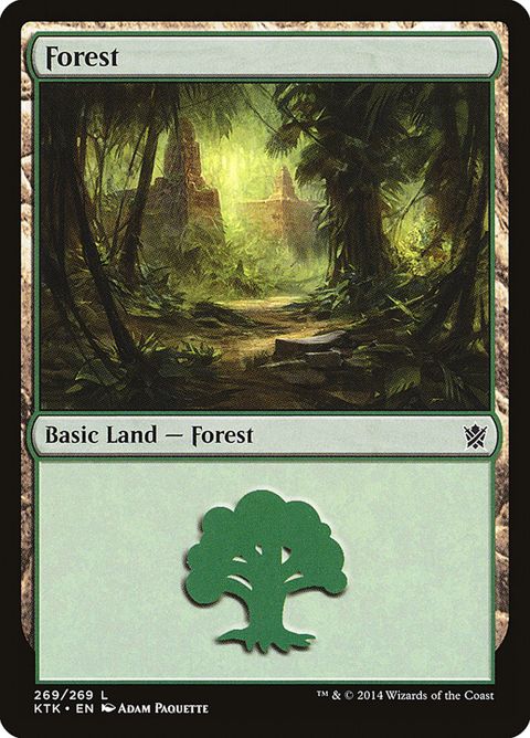 269-forest.jpg