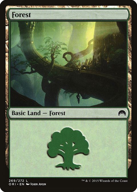 269-forest.jpg