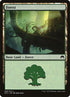 269-forest.jpg