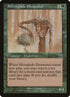269-silvergladeelemental.jpg