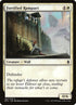 27-fortifiedrampart.jpg