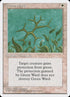 27-greenward.jpg