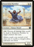 27-stonewisefortifier.jpg