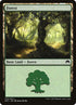270-forest.jpg