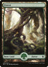 270-forest.jpg