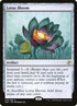 270-lotusbloom.jpg