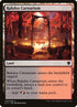 270-rakdoscarnarium.jpg