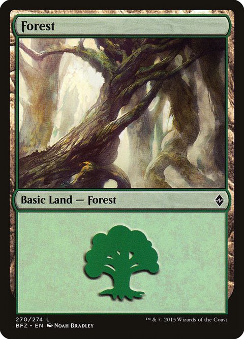 270a-forest.jpg