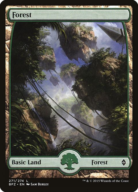 271-forest.jpg