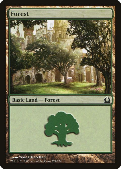 271-forest.jpg