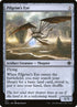 271-pilgrimseye.jpg