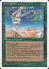 271-shanodindryads.jpg