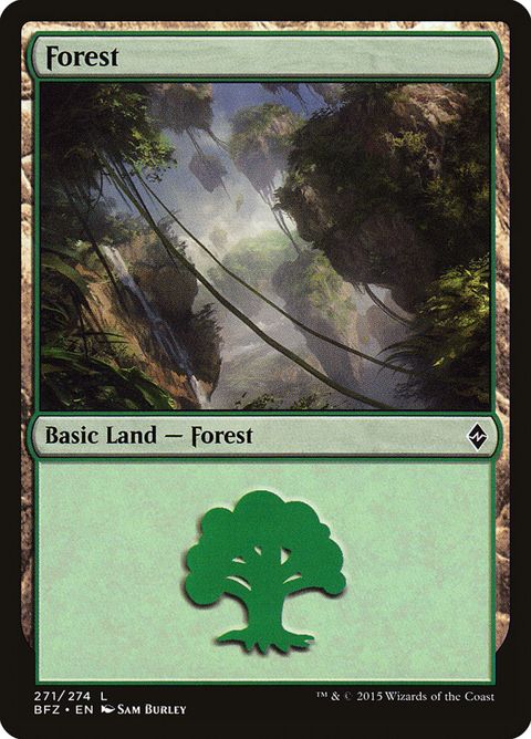 271a-forest.jpg