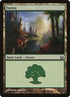272-forest.jpg