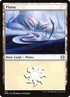 272-plains.jpg