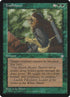 272-trailblazer.jpg