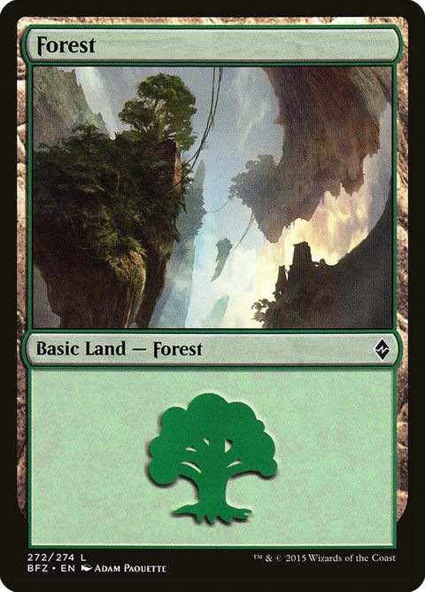 272a-forest.jpg