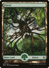 273-forest.jpg