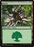 273a-forest.jpg