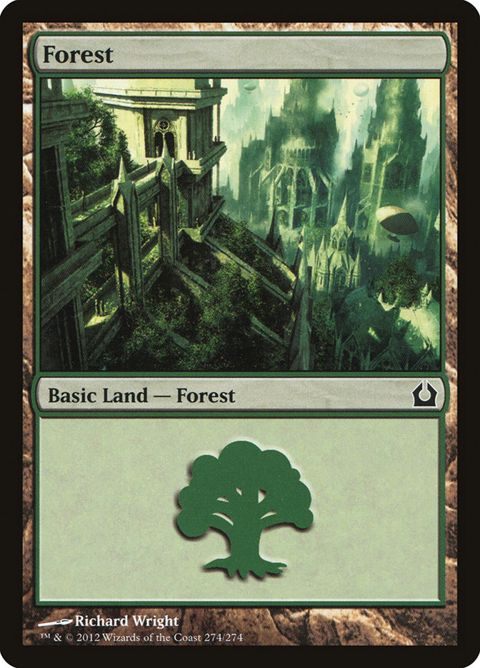 274-forest.jpg
