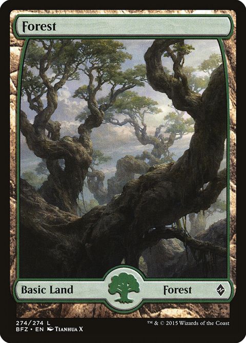 274-forest.jpg