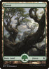 274-forest.jpg
