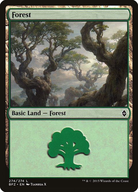274a-forest.jpg