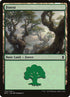 274a-forest.jpg
