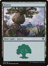 275-forest.jpg