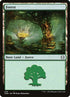 276-forest.jpg