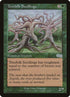 278-treefolkseedlings.jpg