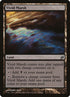 278-vividmarsh.jpg