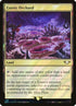 278★-exoticorchard.jpg