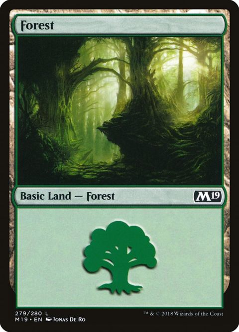 279-forest.jpg